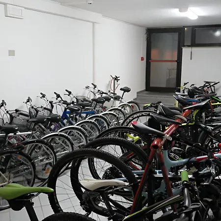 Hotel Angelini 3*
