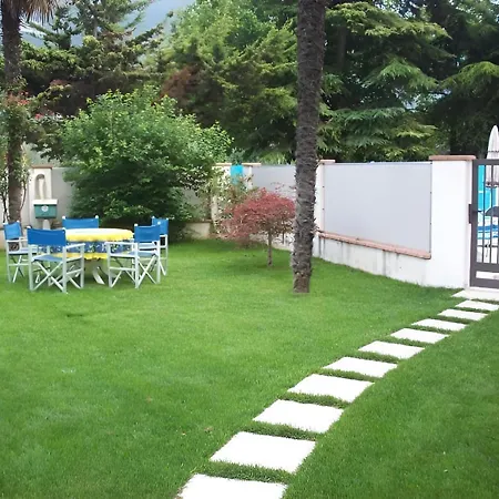 Angelini Torbole Sul Garda